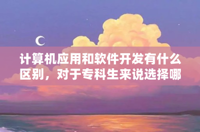 計(jì)算機(jī)軟件開(kāi)發(fā)與應(yīng)用 專科生的職業(yè)選擇與發(fā)展前景分析